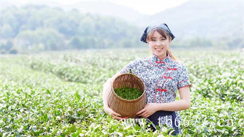 三年的老银针三年的老牡丹