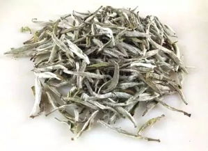 福鼎白茶白毫银针茶饼怎么喝