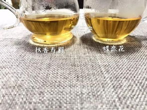 福鼎白茶什么地方品质最好