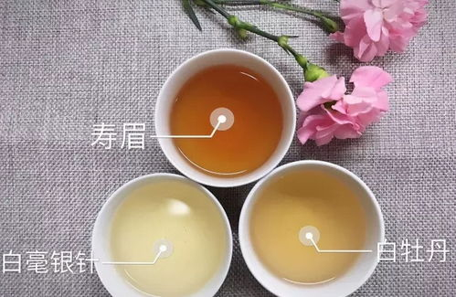 福鼎白茶和什么一起煮好喝