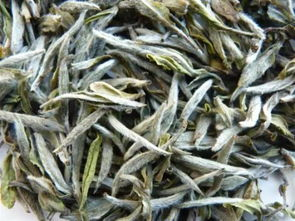 白茶的主要产区