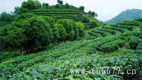 风景图集福鼎太姥山