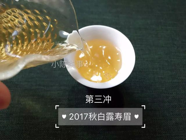 白茶中粮