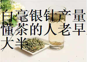 福鼎白茶与其他产区白茶的区别